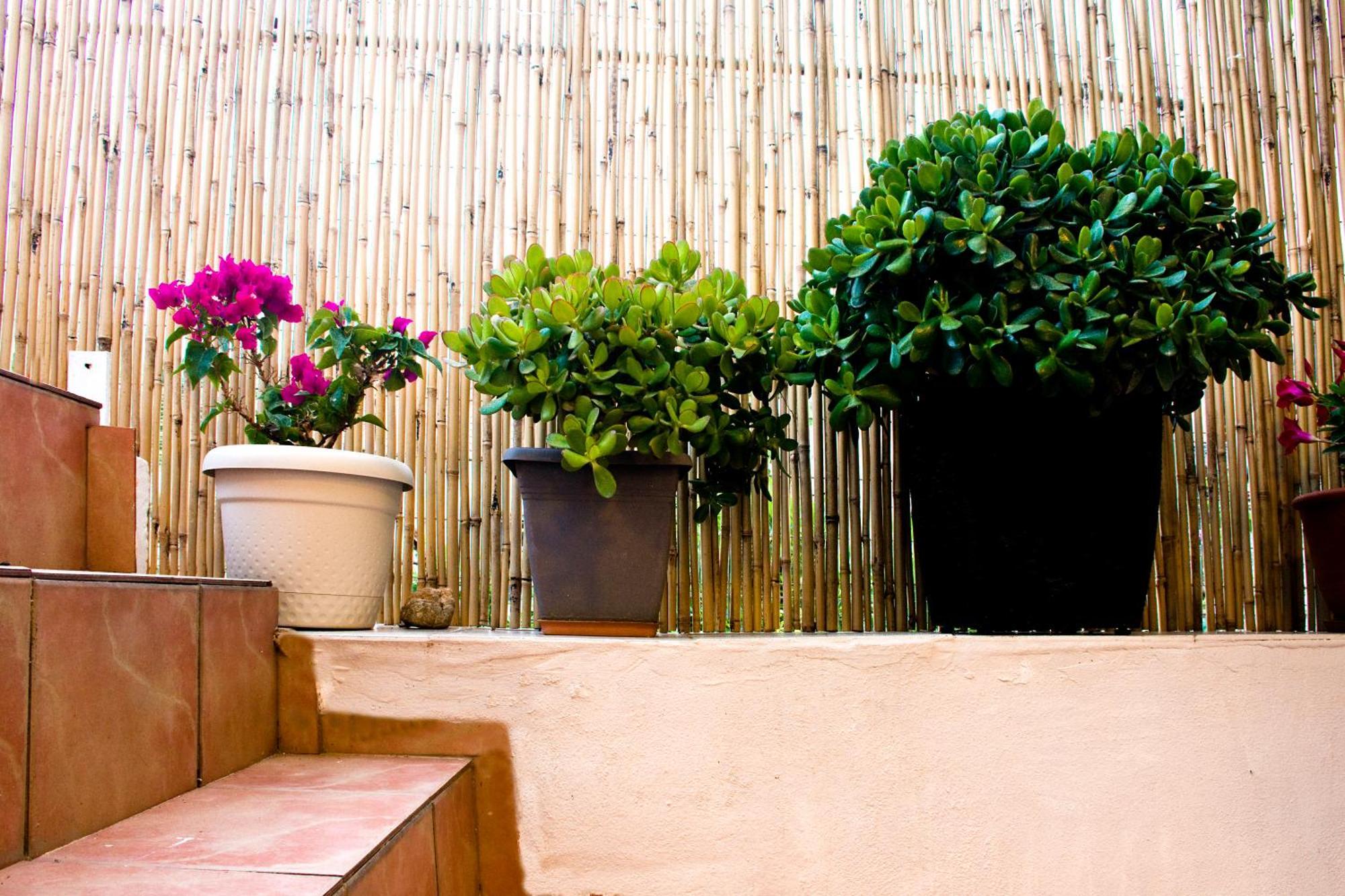 Vila Lilian'S House Chania  Exteriér fotografie
